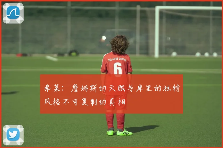 弗莱：詹姆斯的天赋与库里的独特风格不可复制的真相