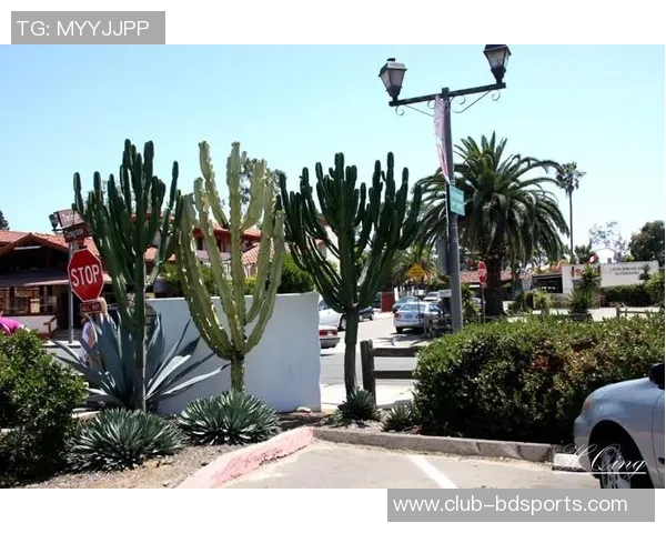 小卡分享圣地亚哥的轻松氛围与友善人群让人倍感自在的生活体验